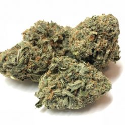 Rockstar Kush Strain Per Pound