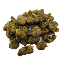 BC Greengouse - OG Kush