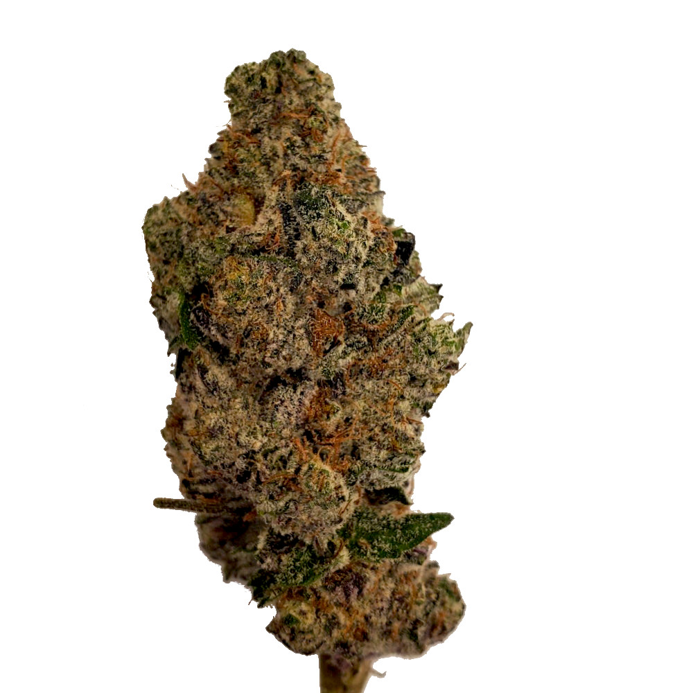 peanutbutterrockstar