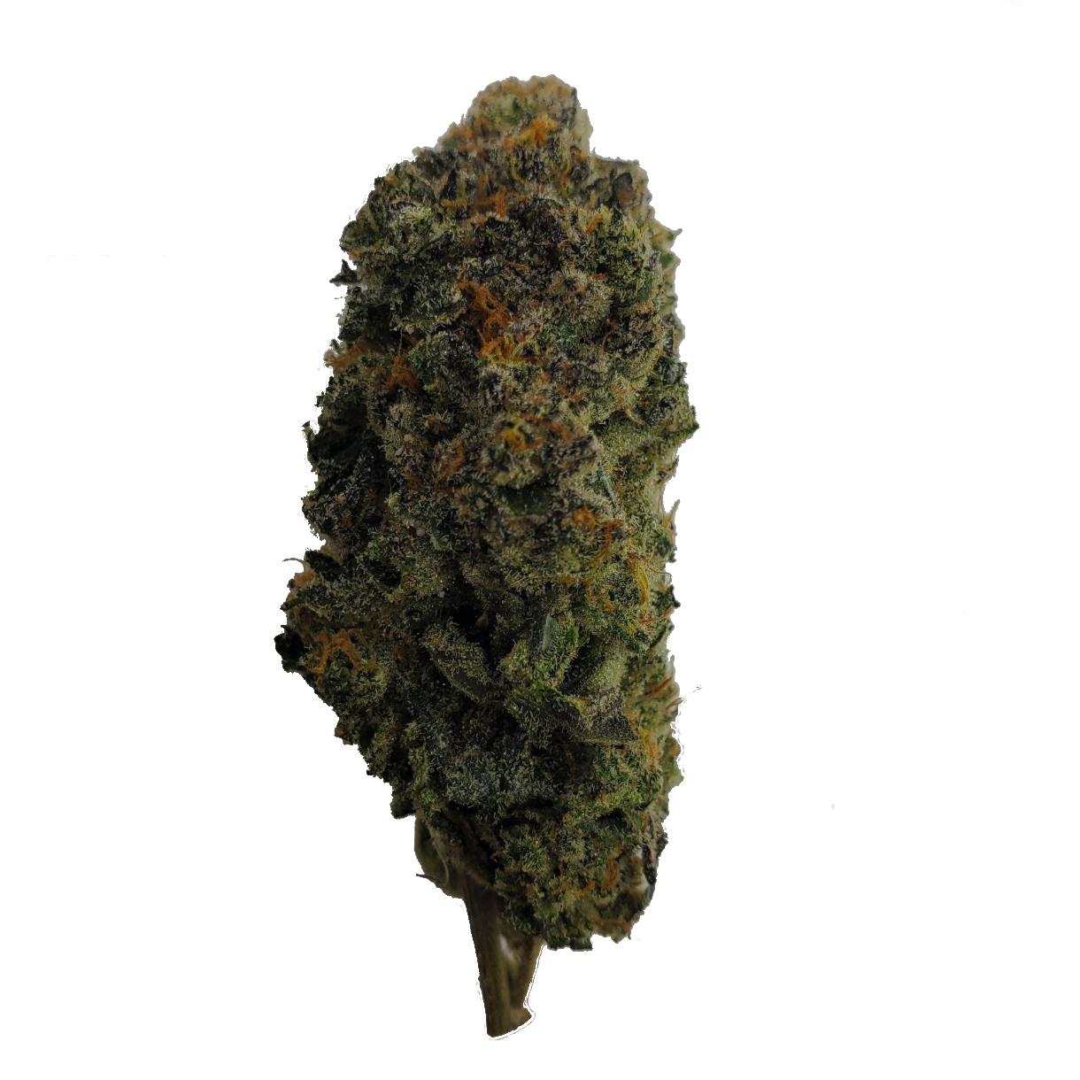 bluemints Blue Mints - Image 1