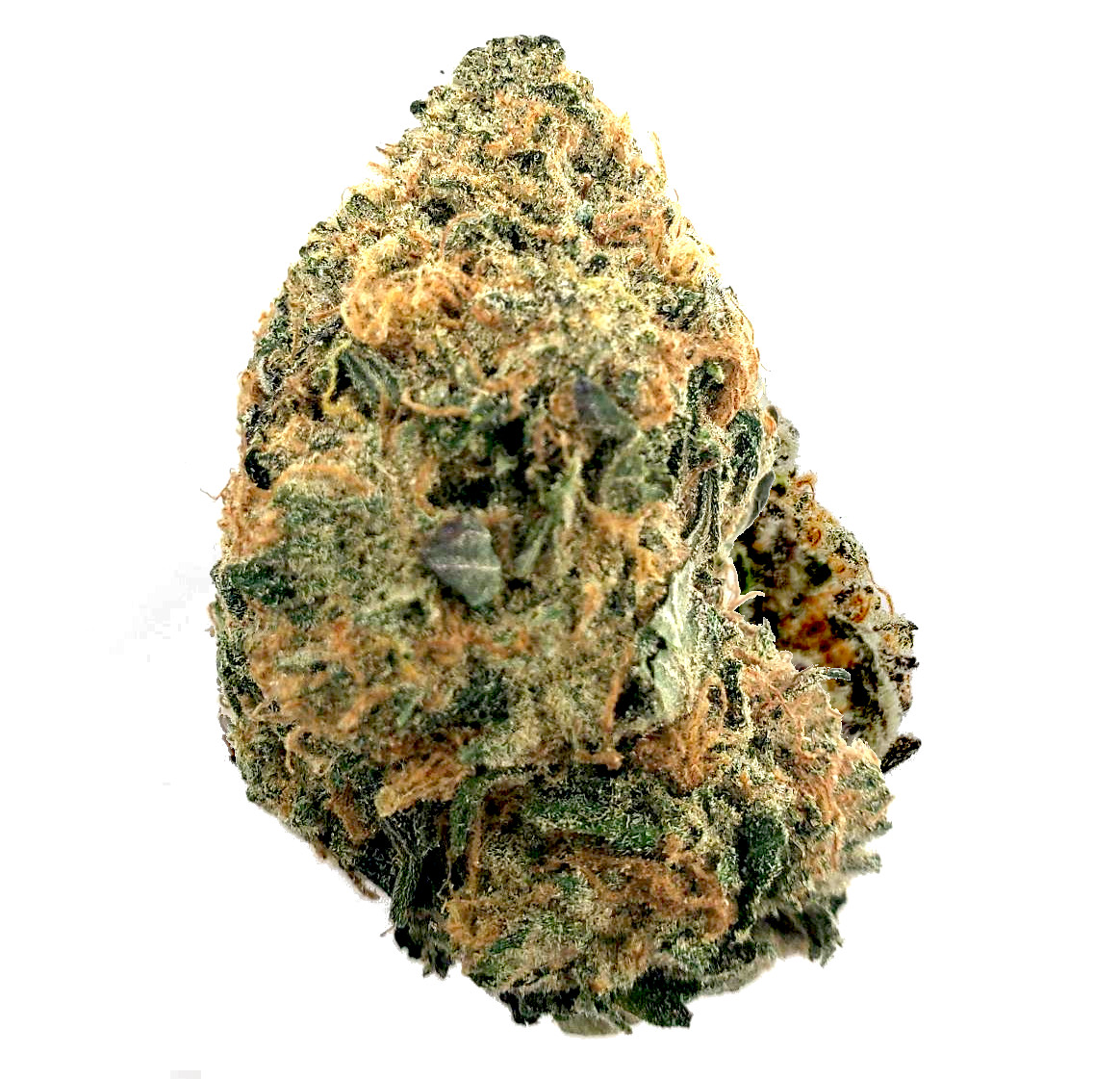 blackwidow Black Widow - Image 1