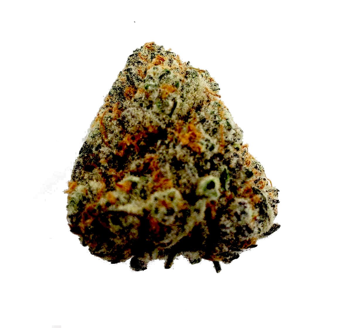 dragonkush Dragon Kush - Image 1