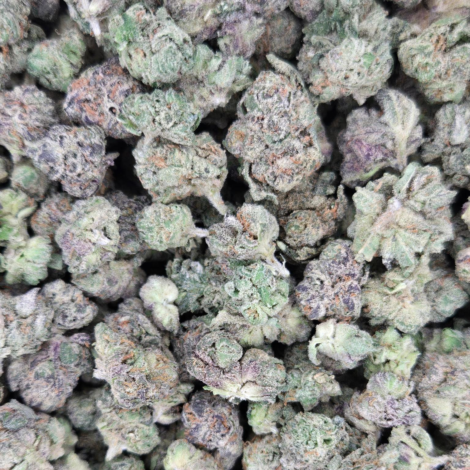 lemonsmalls Lemon Cherry Gelato Smalls - Image 1