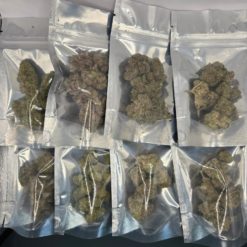 Flower Sample Pack