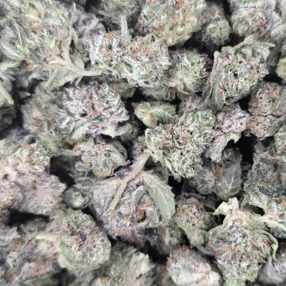 sourlemons Sour Lemons - Small Buds Ounces - Image 1